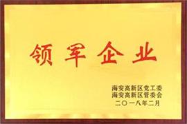 領軍企業(yè)